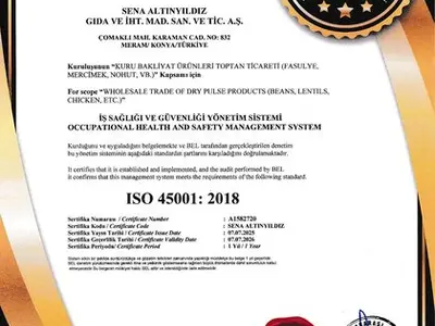ISO 45001:2018 · İş Sağlığı ve Güvenliği Yönetim Sistemi