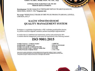 ISO 9001:2015 · Kalite Yönetim Sistemi